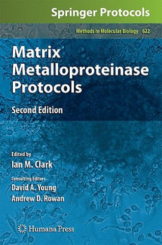 Książka Matrix Metalloproteinase Protocols Ian M. Clark