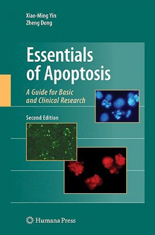 Könyv Essentials of Apoptosis Xiao-Ming Yin