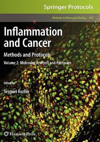 Kniha Inflammation and Cancer Serguei V. Kozlov