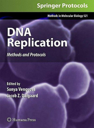 Książka DNA Replication Sonya Vengrova