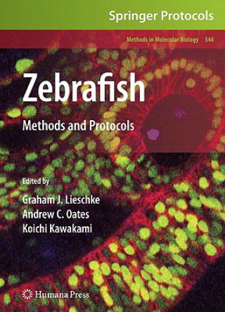 Książka Zebrafish Graham J. Lieschke