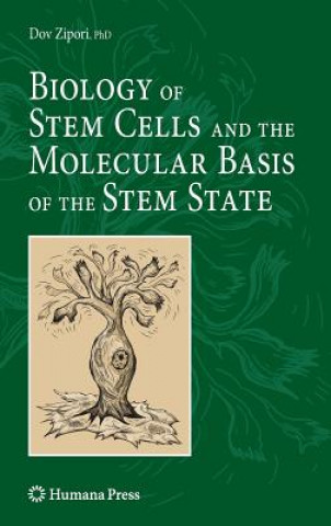 Carte Biology of Stem Cells and the Molecular Basis of the Stem State Dov Zipori