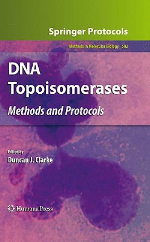Kniha DNA Topoisomerases Duncan J. Clarke