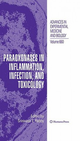 Kniha Paraoxonases in Inflammation, Infection, and Toxicology Srinu Reddy