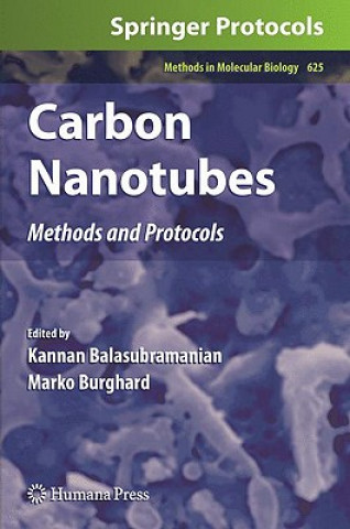 Kniha Carbon Nanotubes Kannan Balasubramanian