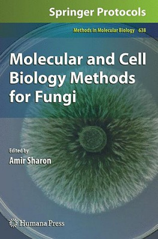 Kniha Molecular and Cell Biology Methods for Fungi Amir Sharon