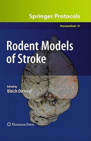 Kniha Rodent Models of Stroke Ulrich Dirnagl