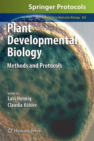 Kniha Plant Developmental Biology Lars Hennig