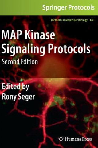 Kniha MAP Kinase Signaling Protocols Rony Seger