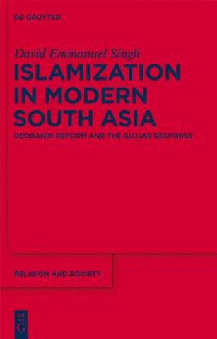Kniha Islamization in Modern South Asia David E. Singh