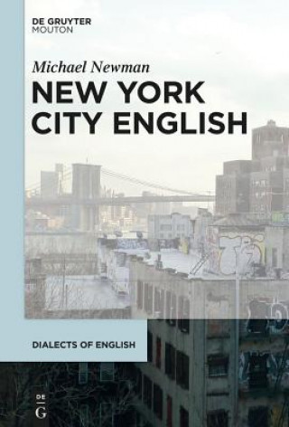 Kniha New York City English Michael Newman