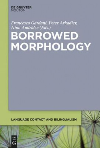 Kniha Borrowed Morphology Nino Amiridze