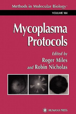 Książka Mycoplasma Protocols Roger J. Miles