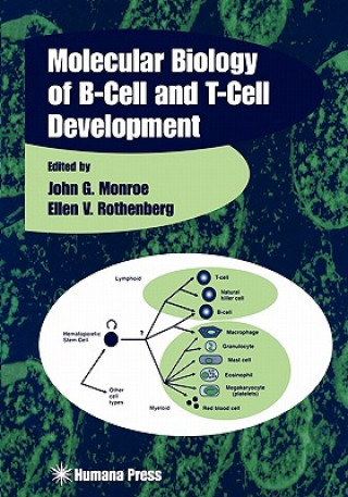 Kniha Molecular Biology of B-Cell and T-Cell Development John G. Monroe