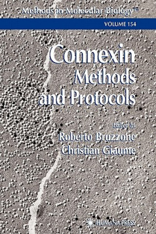 Carte Connexin Methods and Protocols Roberto Bruzzone