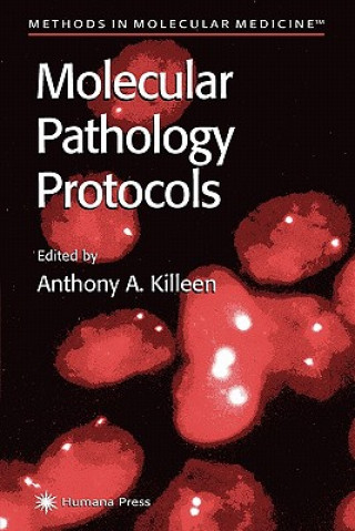 Kniha Molecular Pathology Protocols Anthony A. Killeen