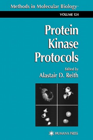 Książka Protein Kinase Protocols Alastair D. Reith