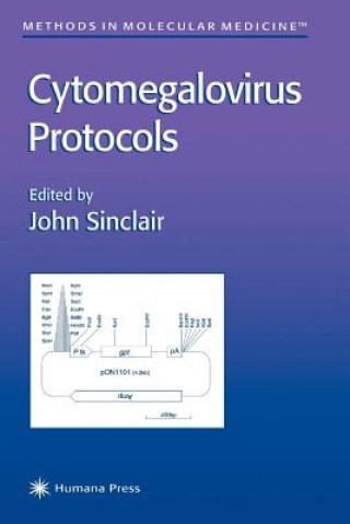 Könyv Cytomegalovirus Protocols John Sinclair