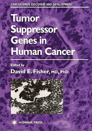 Kniha Tumor Suppressor Genes in Human Cancer David E. Fisher