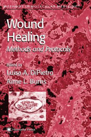 Książka Wound Healing Luisa A. DiPietro
