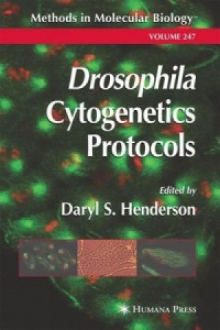 Carte Drosophila Cytogenetics Protocols Daryl S. Henderson