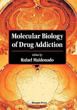 Книга Molecular Biology of Drug Addiction Rafael Maldonado