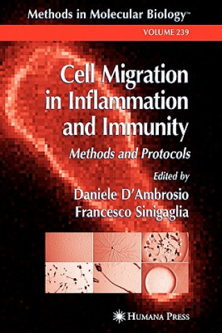 Carte Cell Migration in Inflammation and Immunity Daniele D Ambrosio