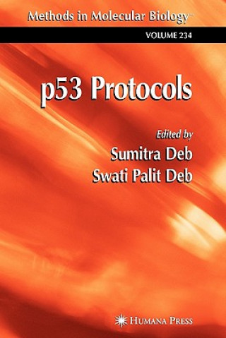 Libro p53 Protocols Sumitra Deb