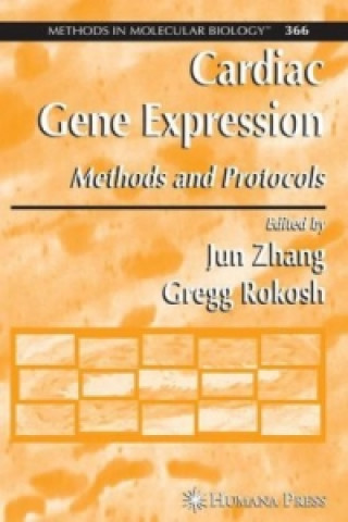 Kniha Cardiac Gene Expression Jun Zhang