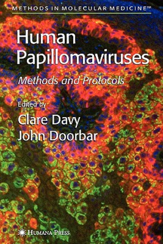 Książka Human Papillomaviruses Clare Davy