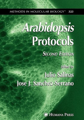 Książka Arabidopsis Protocols, 2nd Edition Julio Salinas