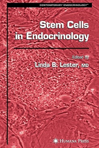 Книга Stem Cells in Endocrinology Linda B. Lester