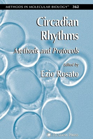 Kniha Circadian Rhythms Ezio Rosato
