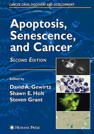 Kniha Apoptosis, Senescence and Cancer David A. Gewirtz