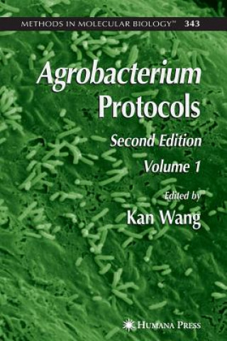 Könyv Agrobacterium Protocols Kan Wang