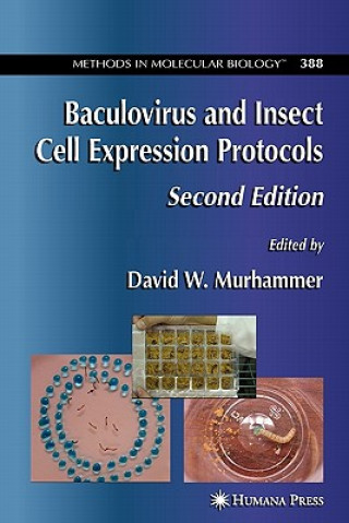 Kniha Baculovirus and Insect Cell Expression Protocols David W. Murhammer