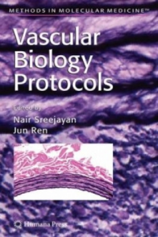 Książka Vascular Biology Protocols Nair Sreejayan