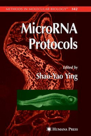 Knjiga MicroRNA Protocols Shao-Yao Ying