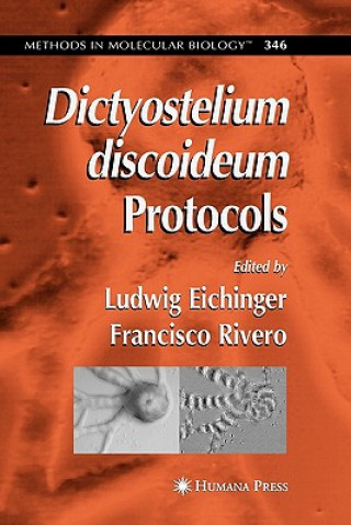 Könyv Dictyostelium discoideum Protocols Ludwig Eichinger