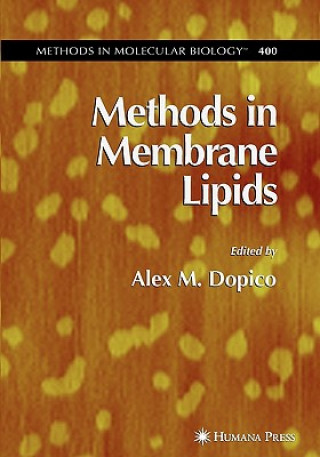 Kniha Methods in Membrane Lipids Alex Dopico