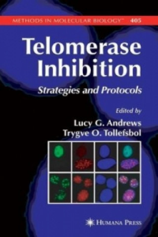 Kniha Telomerase Inhibition Lucy Andrews