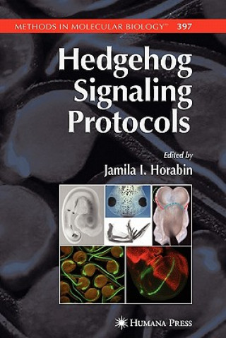 Libro Hedgehog Signaling Protocols Jamila I. Horabin