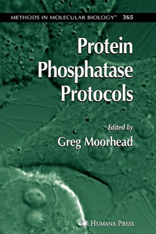 Knjiga Protein Phosphatase Protocols Greg Moorhead