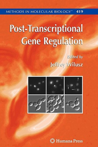 Könyv Post-Transcriptional Gene Regulation Jeffrey Wilusz
