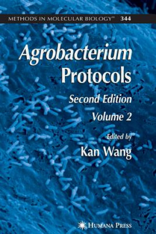 Kniha Agrobacterium Protocols Kan Wang