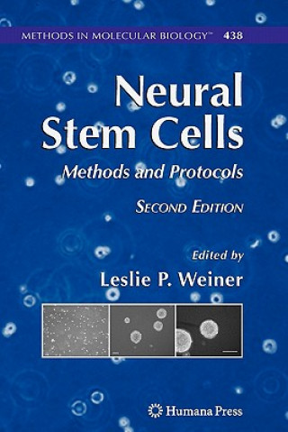 Kniha Neural Stem Cells Leslie P. Weiner