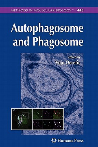 Kniha Autophagosome and Phagosome Vojo Deretic