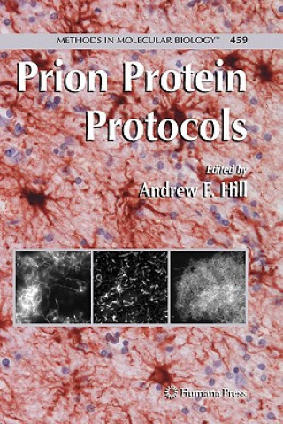 Knjiga Prion Protein Protocols Andrew F. Hill