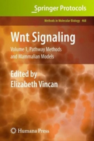 Book Wnt Signaling Elizabeth Vincan