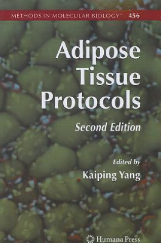 Книга Adipose Tissue Protocols Kaiping Yang